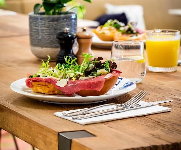 デ ローデ レーウ 4*