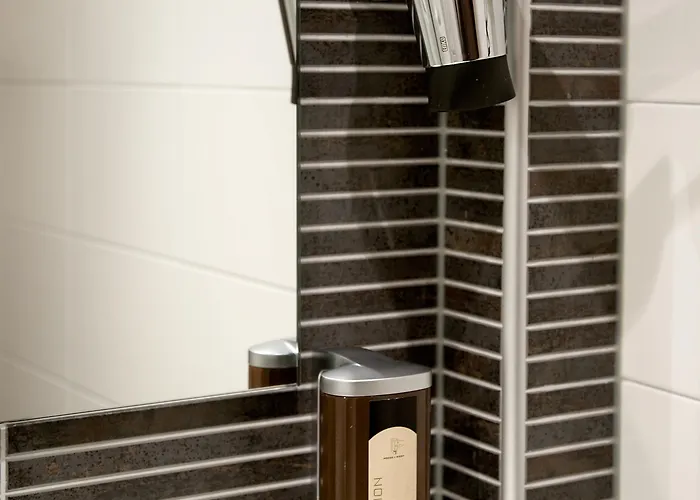 デ ローデ レーウ 4*